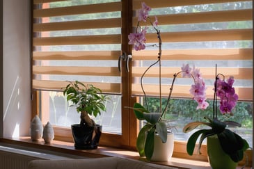 Habitación con cortina roller y plantas. Por qué elegir cortinas roller. 